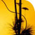 Ikebana - bouquets art floral