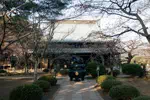 tokyo governement building